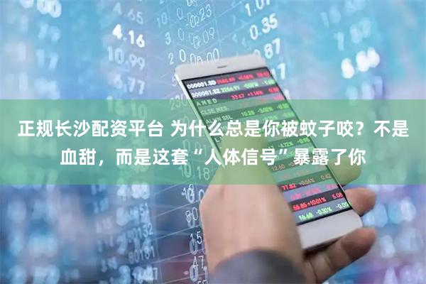 正规长沙配资平台 为什么总是你被蚊子咬？不是血甜，而是这套“人体信号”暴露了你